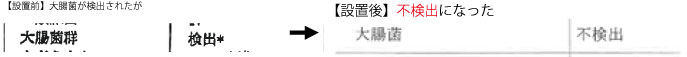 大腸菌