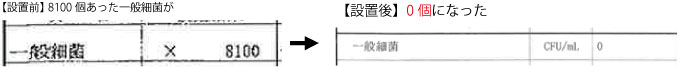 一般細菌